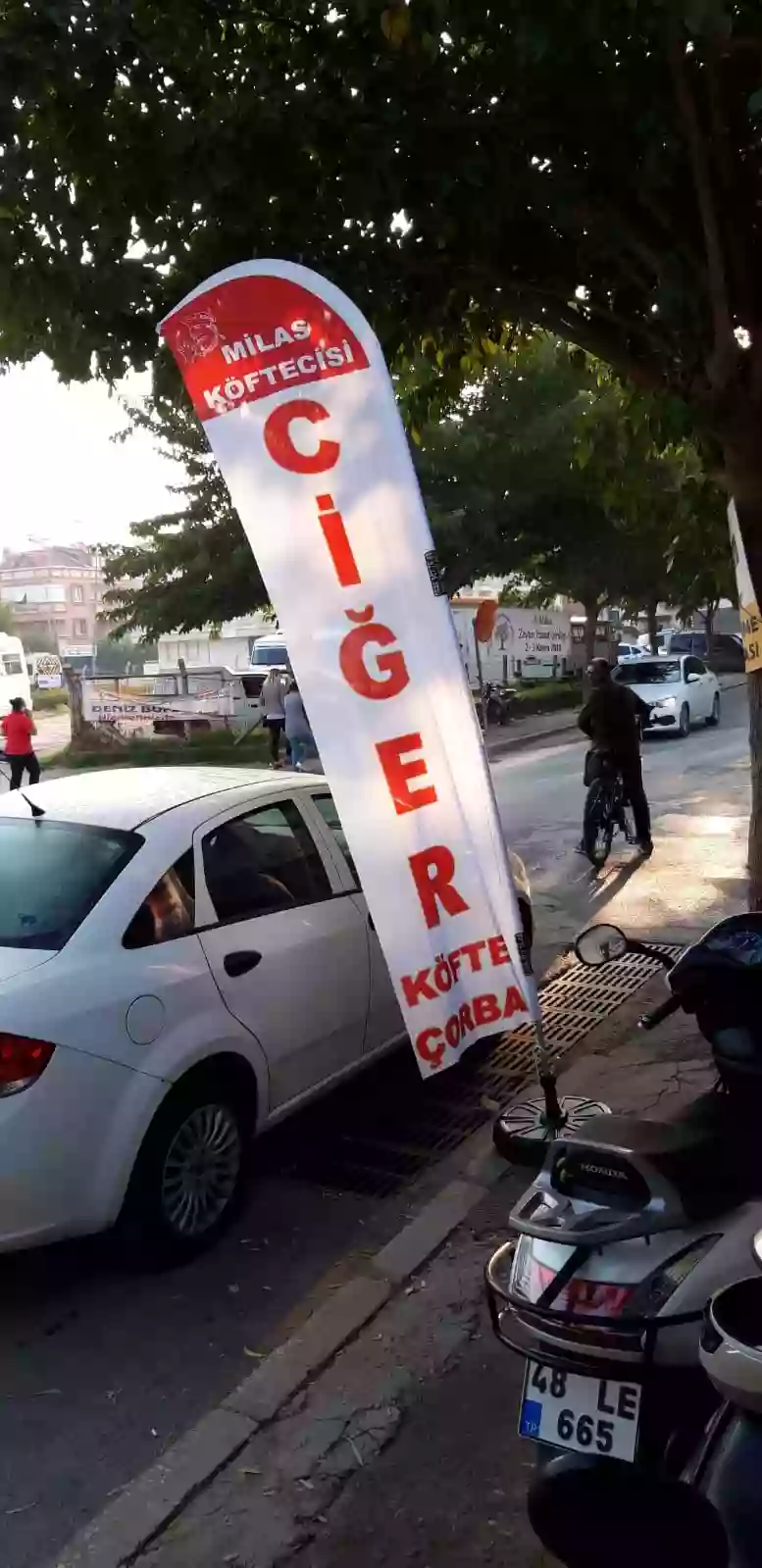 Bartın Olta Bayrak Örnekleri